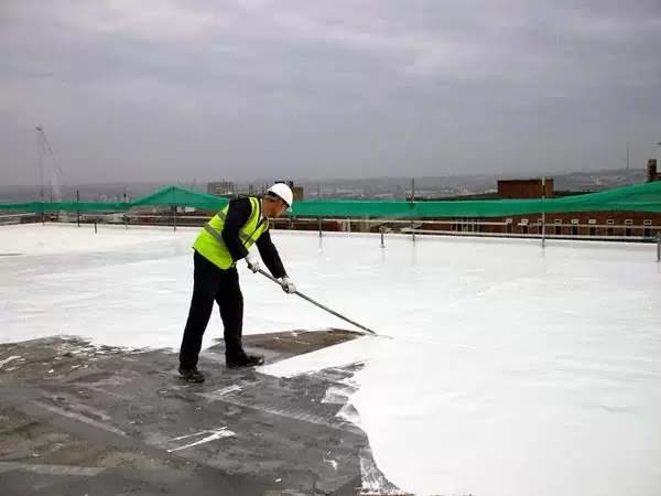 Roof Waterproofing Specialist