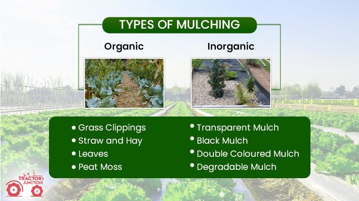 What is Mulching