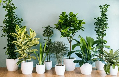 Artificial plants in bulk