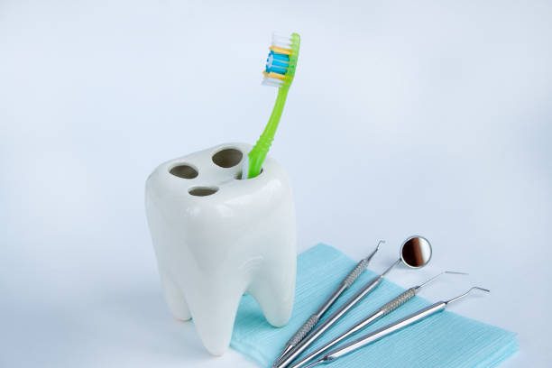 The Importance of Regular Dental Exams and Cleanings in Oxenford