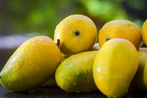 Best Pakistani Mangoes Online