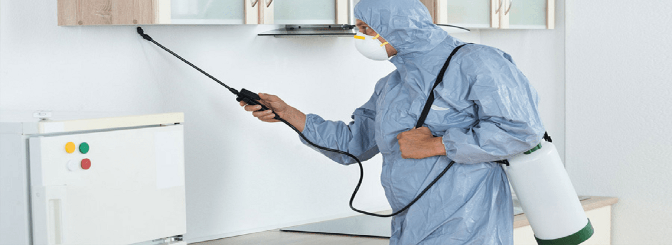 Affordable Fumigation Services in Lahore: Your Ultimate Guide