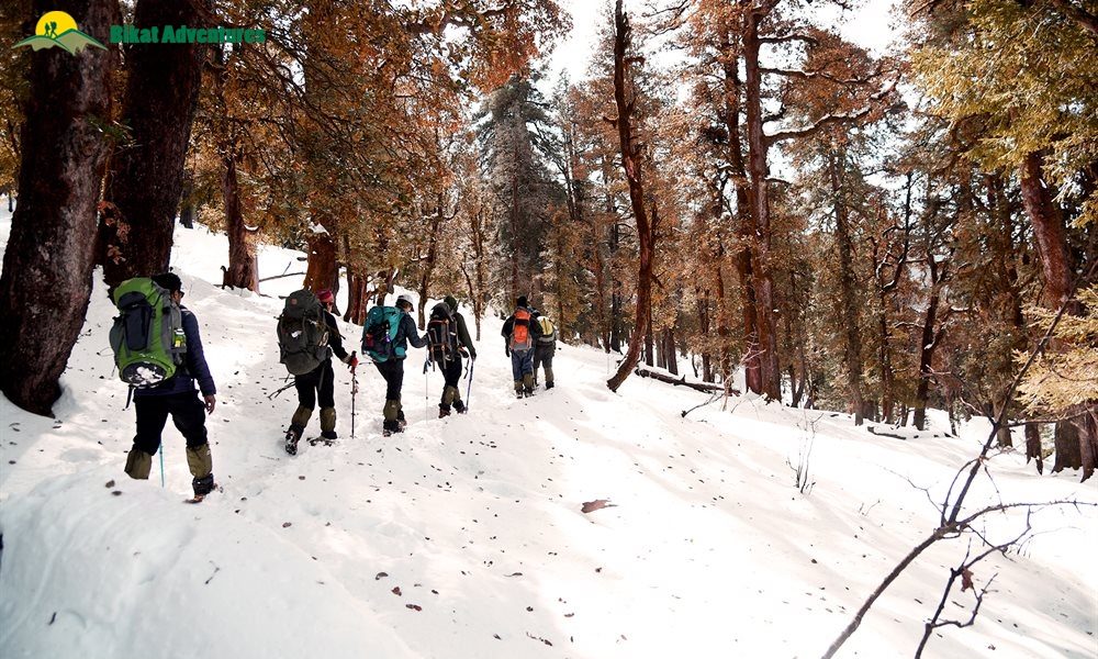 Ready, Set, Summit: Your Guide to an Unforgettable Kedarkantha Trek