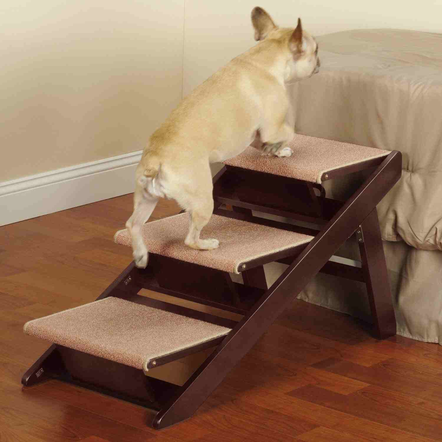 Essential Cat Beds and Pet Stairs for a Comfortable Home