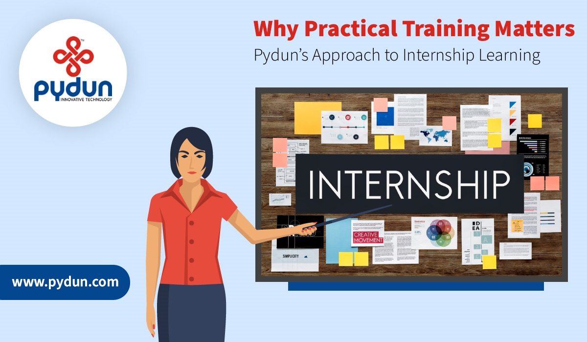 Why Practical Training Matters: Pydun’s Approach to Internship Learning