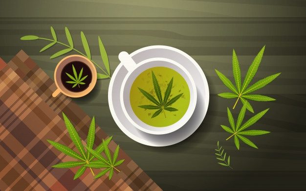 The Evolution of Cannabis Legalization: A Global Perspective