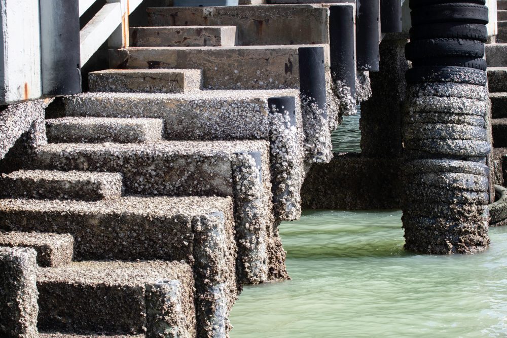 5 PROVEN STRATEGIES TO PROTECT MARINE STRUCTURES FROM CORROSION