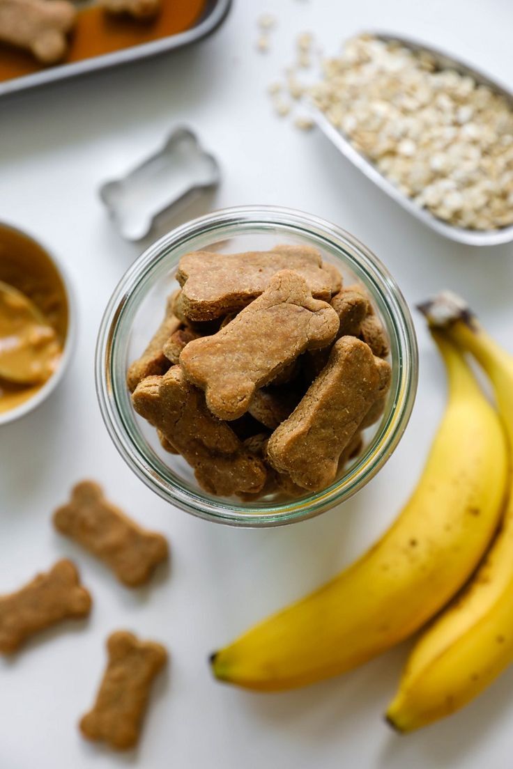 The Importance of Banana Dog Biscuits and Shampoo for Dogs in Your Pet Care Routine: