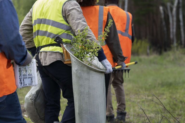 Arborist-Services-2048x1365-1