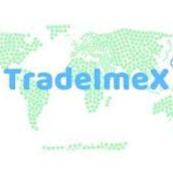 TradeImex Info Solution