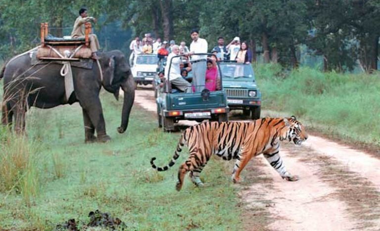 Nainital-Jim-Corbett