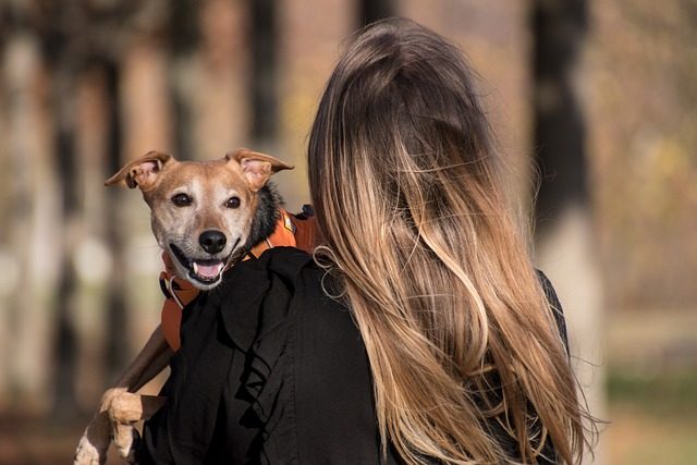 Pet Shops in Chandigarh: Your One-Stop Destination