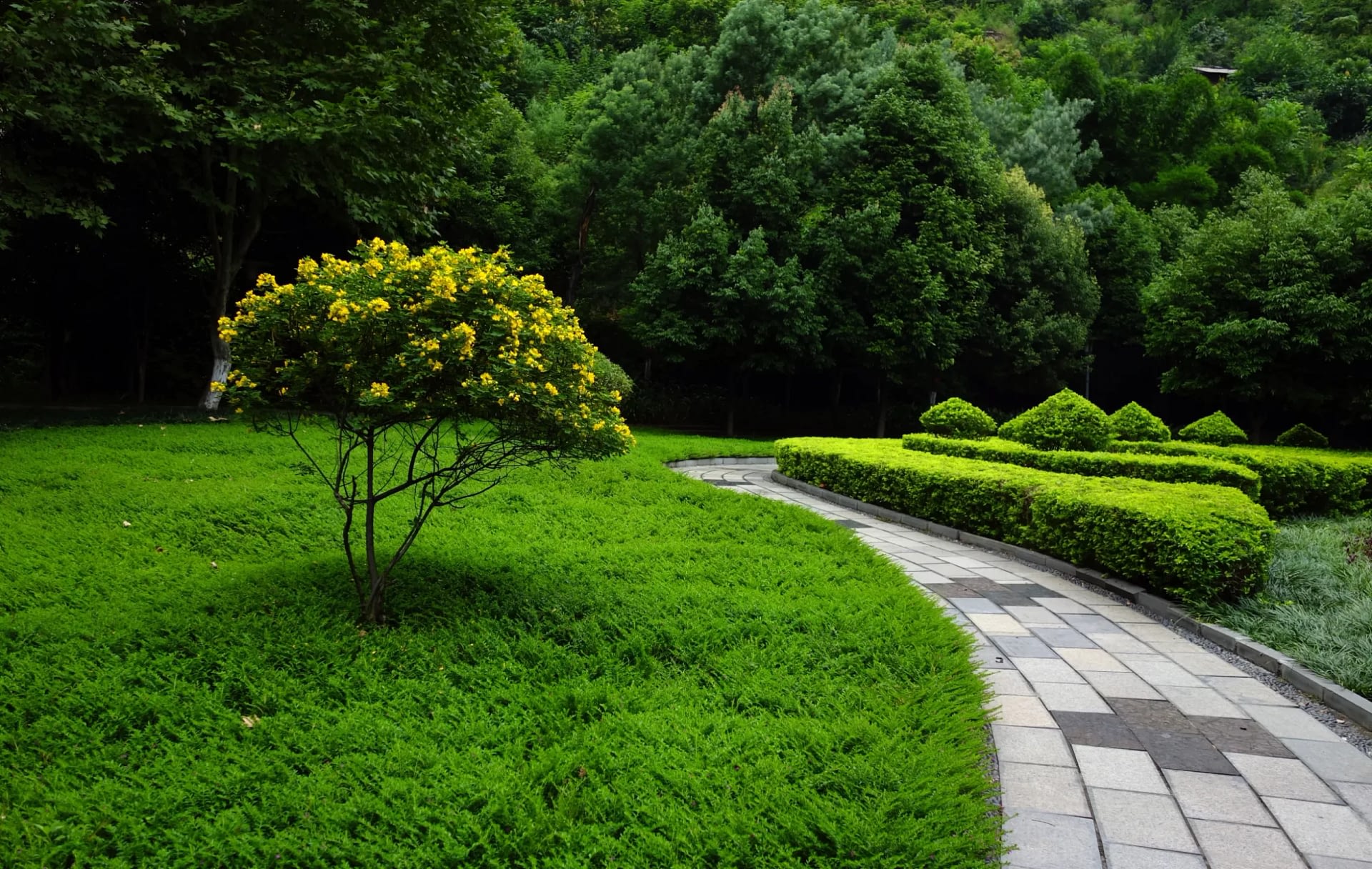 Hardscaping & Landscaping Services in Yardley, PA | Byron’s G Landscaping