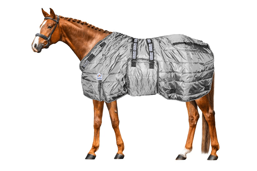 Essential Guide to Quality Mini Horse Supplies and Horse Saddle Blankets: Elevate Your Equine Experience