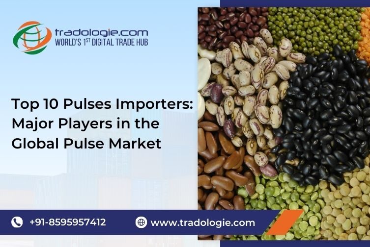 Top 10 Pulses Importers: Key Players Shaping the Global Pulse Market and Trade Trends