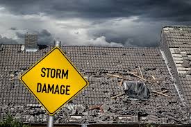 Steps to Take Immediately After Storm Damage in Mobile, AL