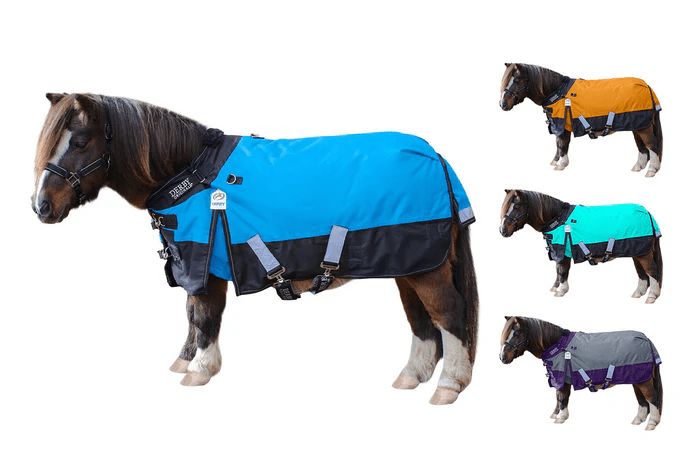 pony-horse-blanket