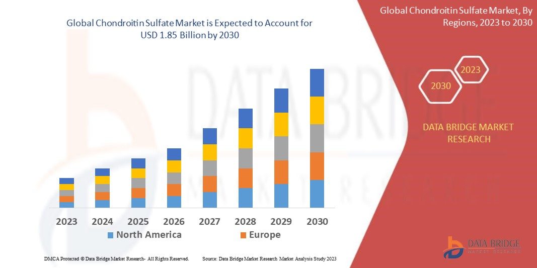 Chondroitin Sulfate Market Dynamics: Key Drivers and Restraints 2024–2030