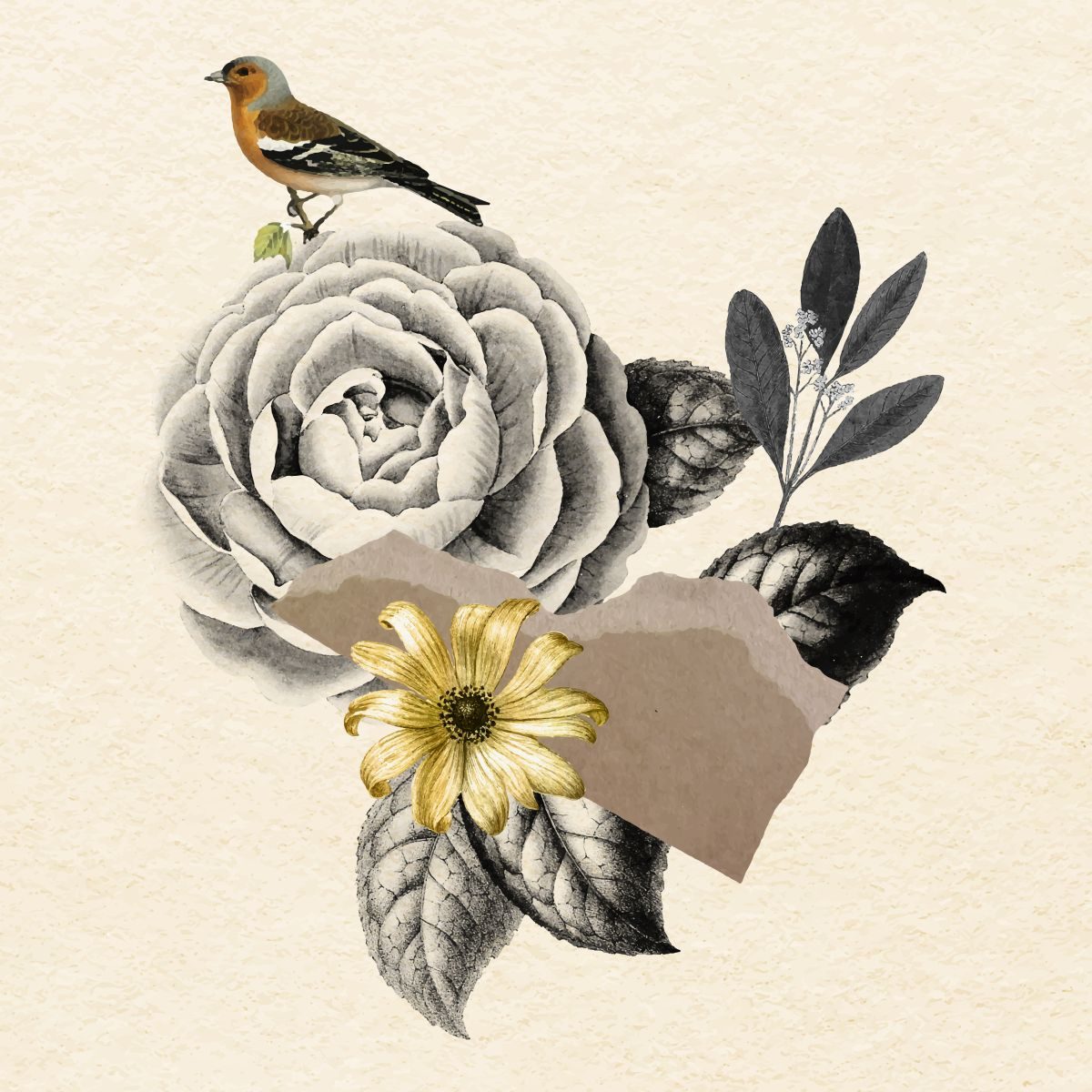 What is a collage painting and ideas? – The London Art Exchange, Art Gallery London