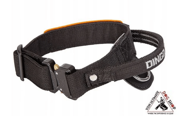 Dingo_20Gear_20Cobra_20Collar_20With_20Handle-1