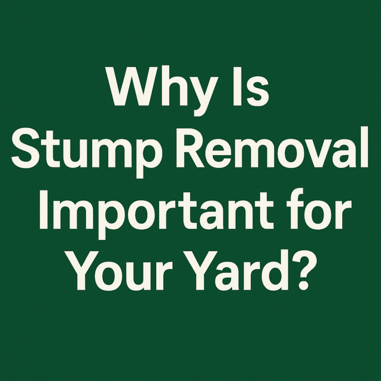 Why-Is-Stump-Removal-Important-for-Your-Yard