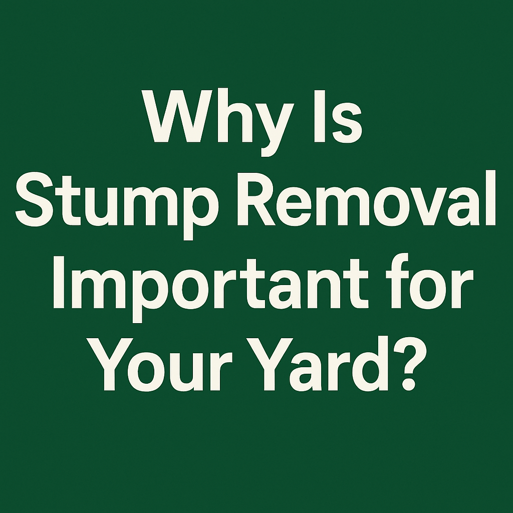 Why Is Stump Removal Important for Your Yard? – A Detailed Guide