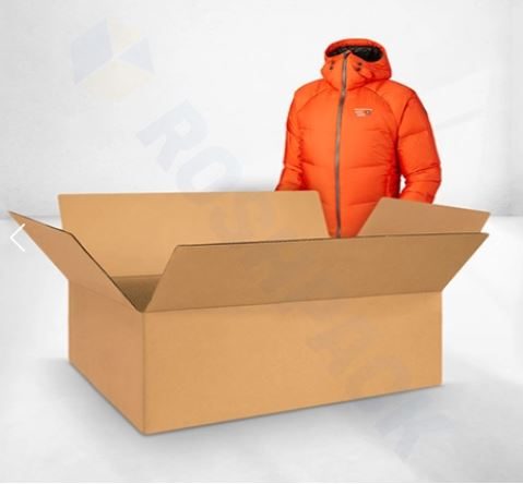 Carton Boxes by Rosh Pack: Durable, Customizable, and Reliable Packaging Solutions